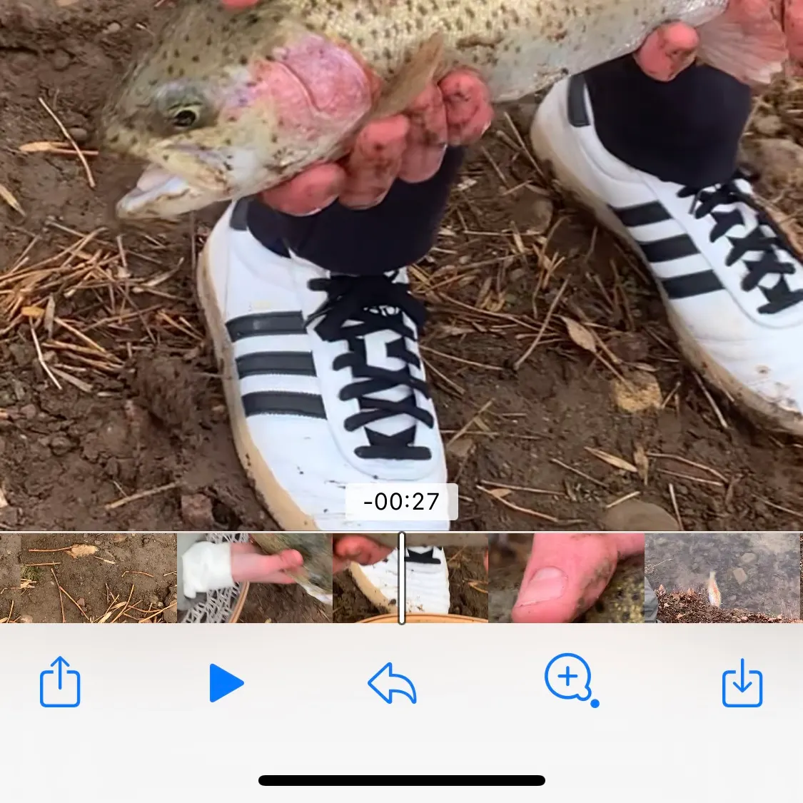 recently logged catches