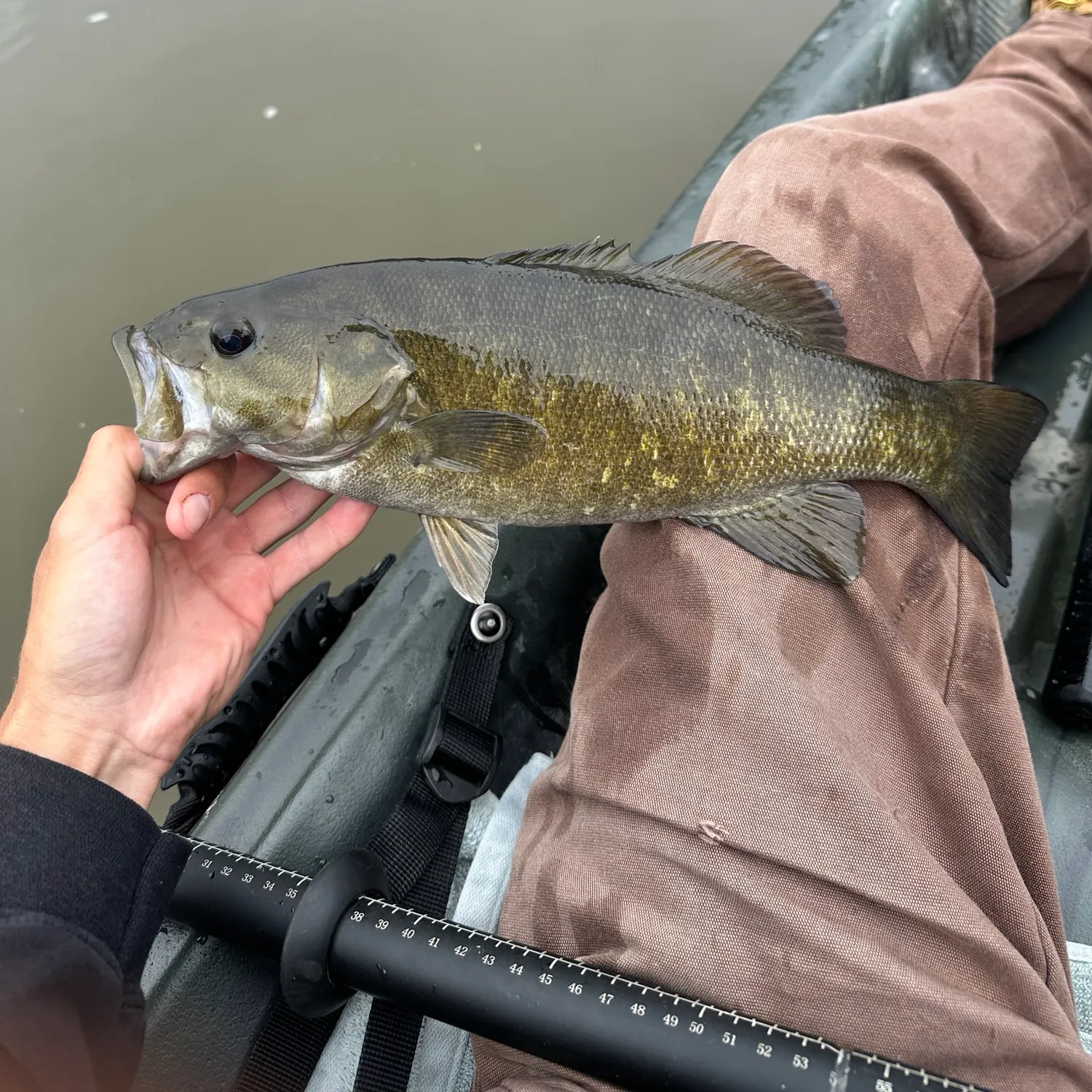 Smallmouth bass caught on Fishbrain
