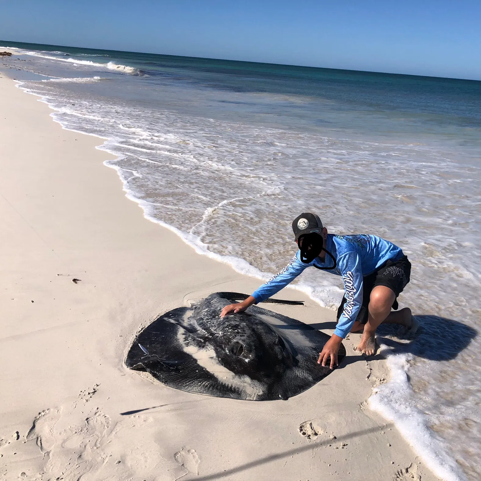 The most recent Thorntail stingray catches on Fishbrain