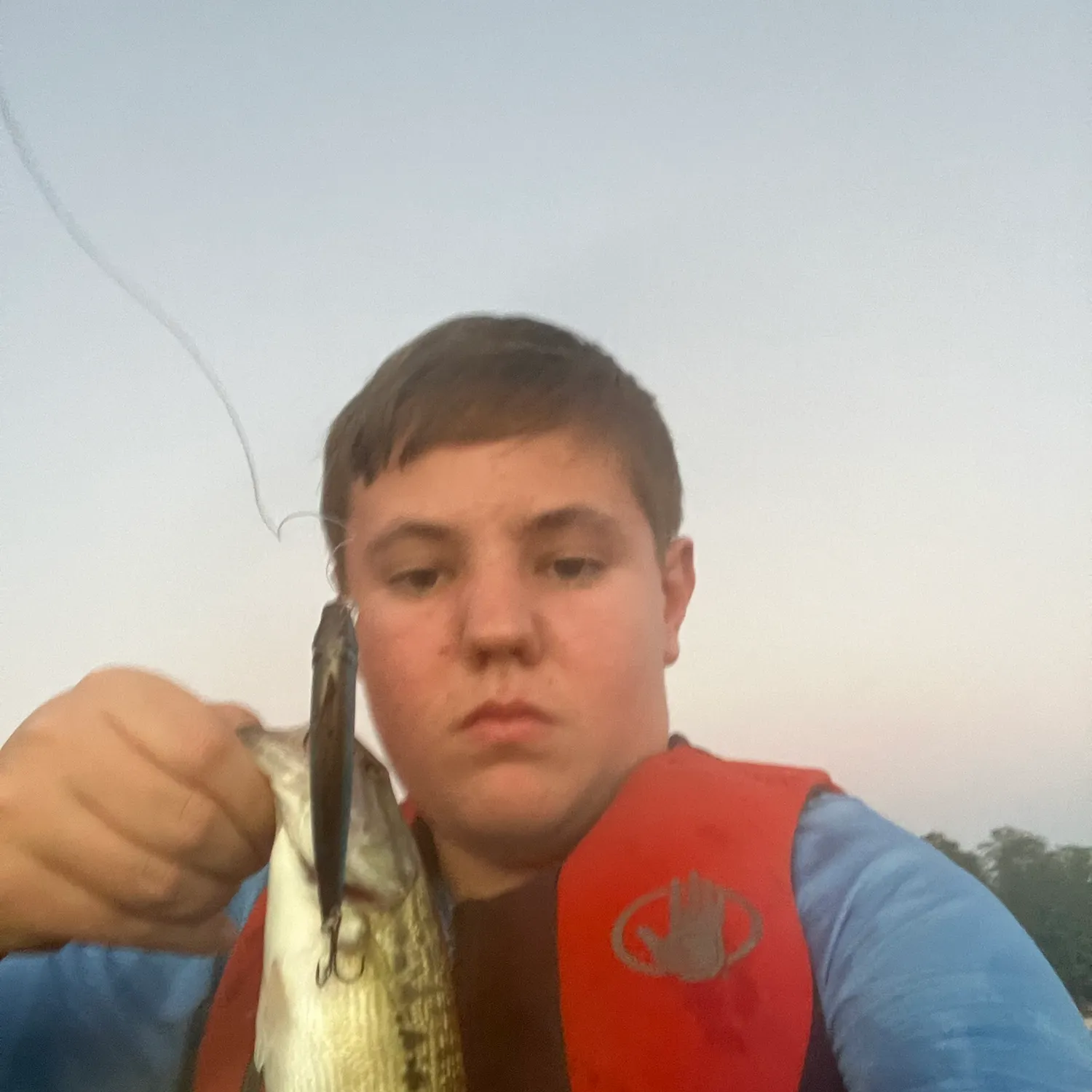 Spotted bass caught on Fishbrain