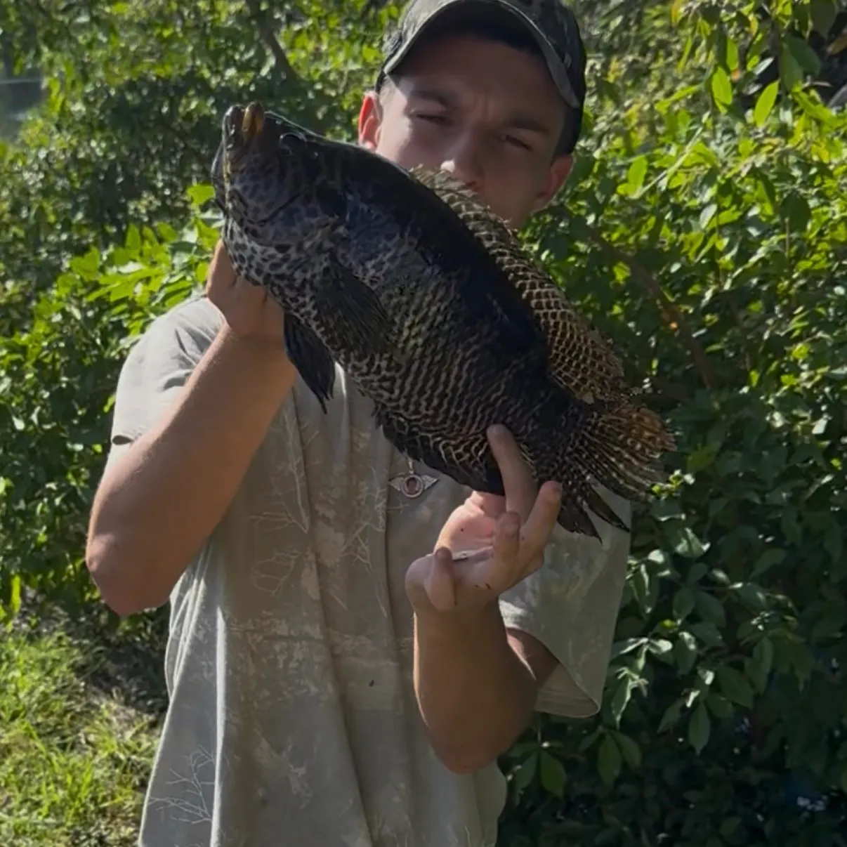 Jaguar cichlid caught on Fishbrain