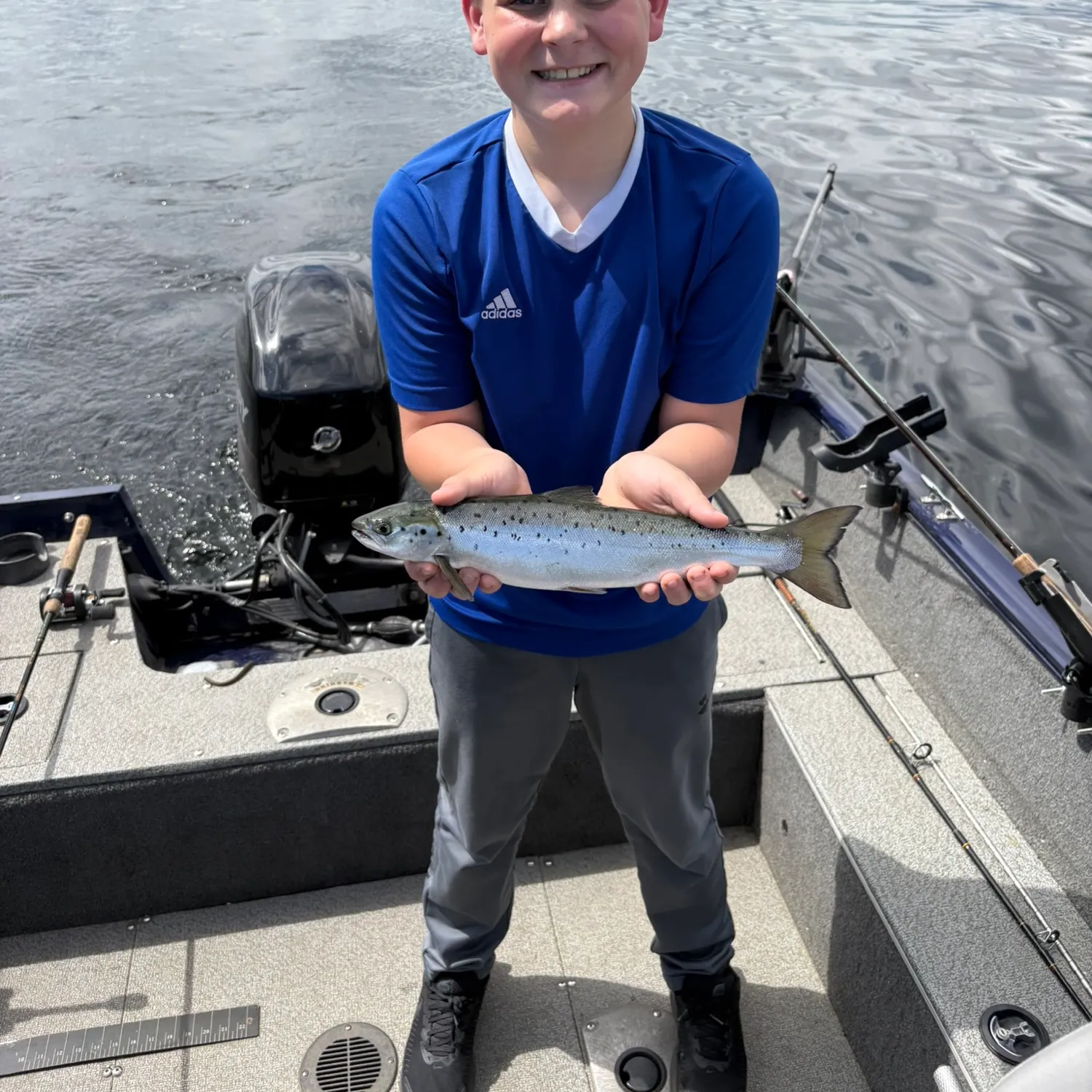 The most recent Landlocked atlantic salmon catches on Fishbrain