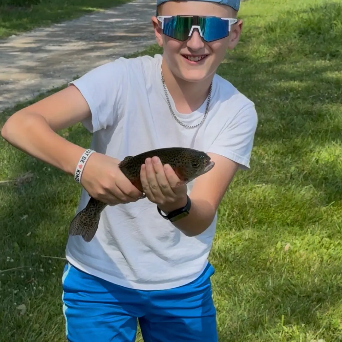Rainbow trout caught on Fishbrain