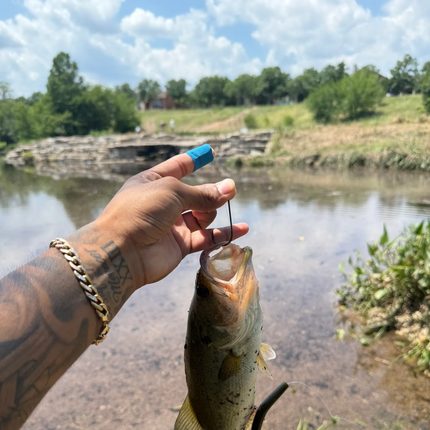 Fishing in Austin, TX (United States) ️️️️ Find Spots, Species & Tips