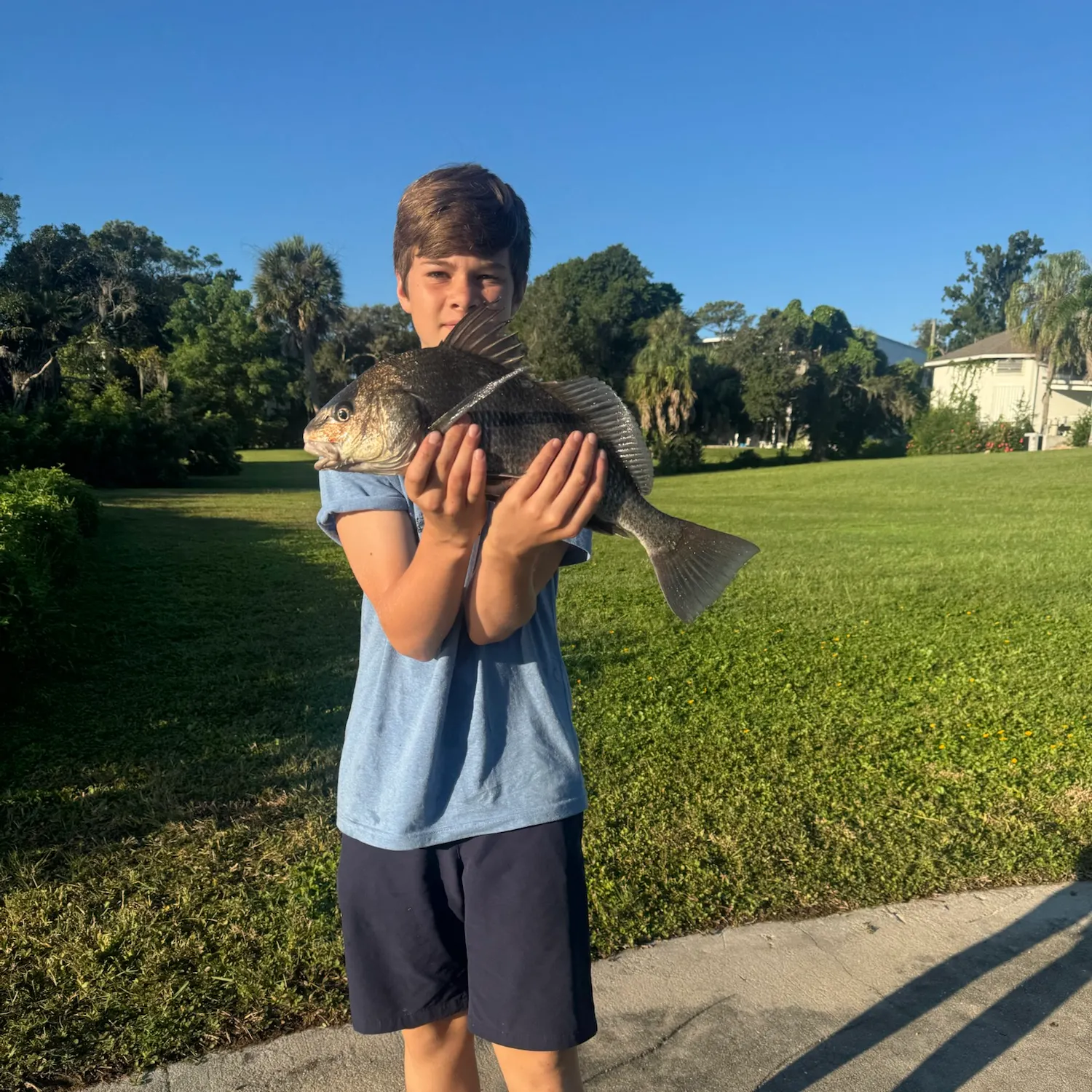 Black drum caught on Fishbrain