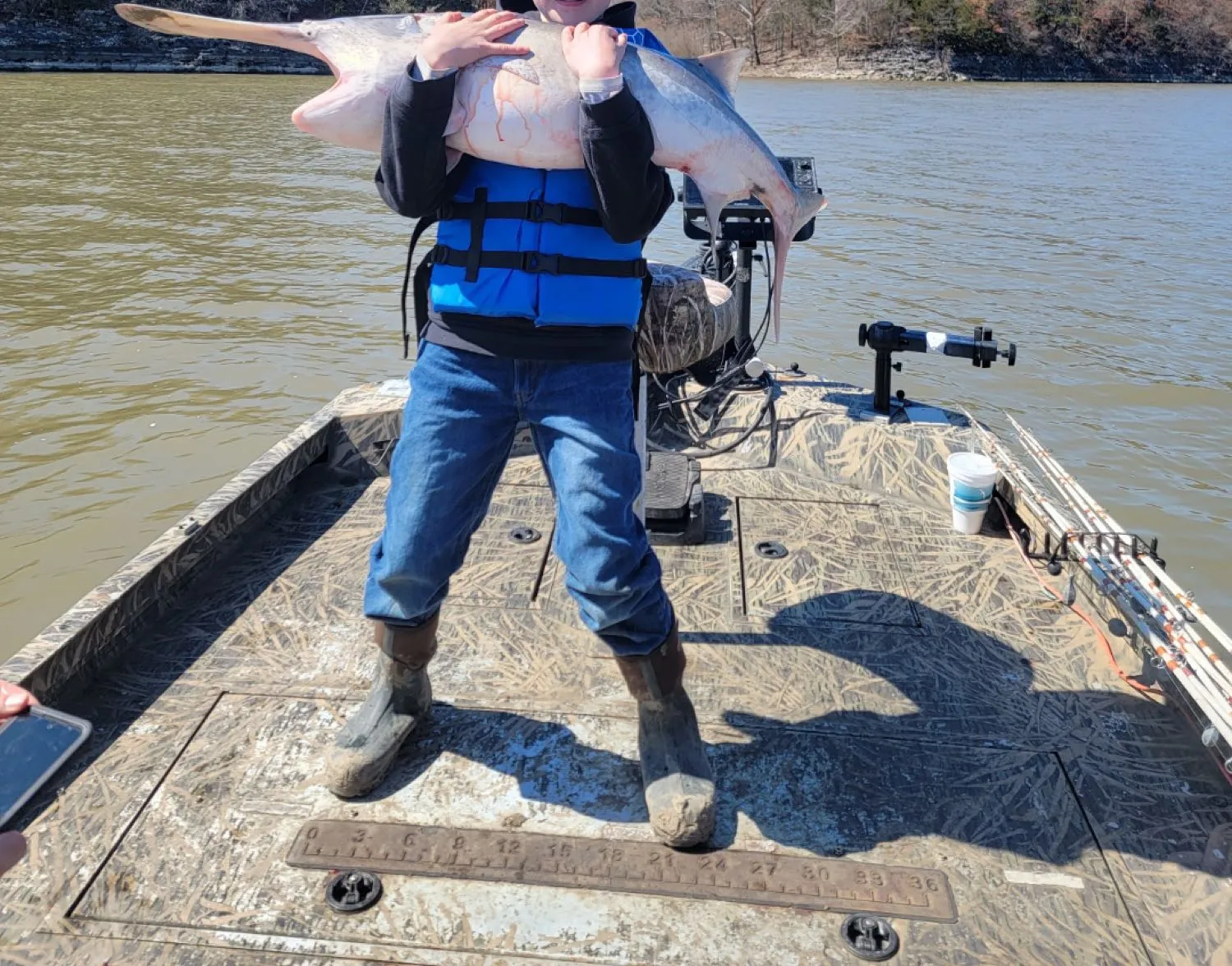 Paddlefish