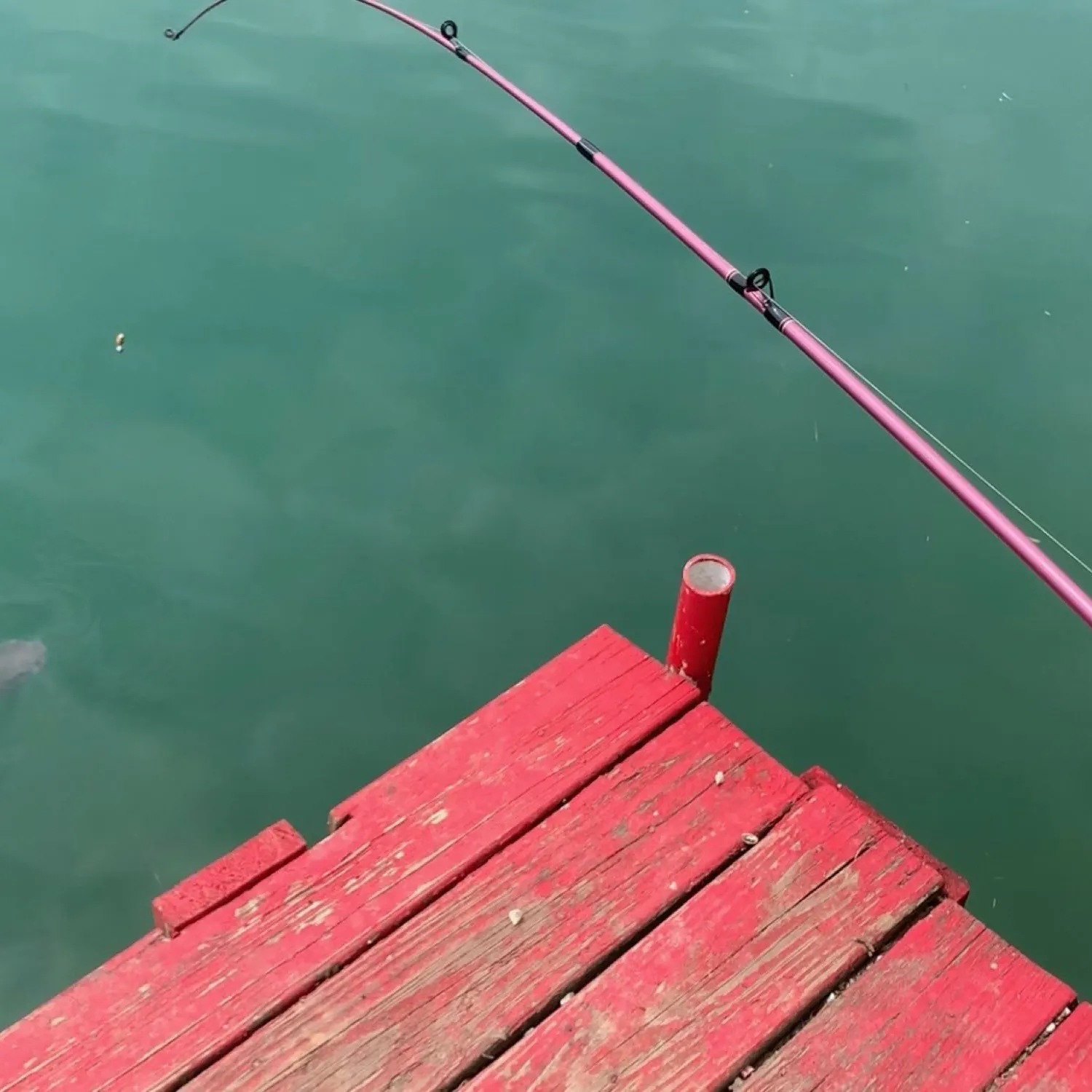 angler catch