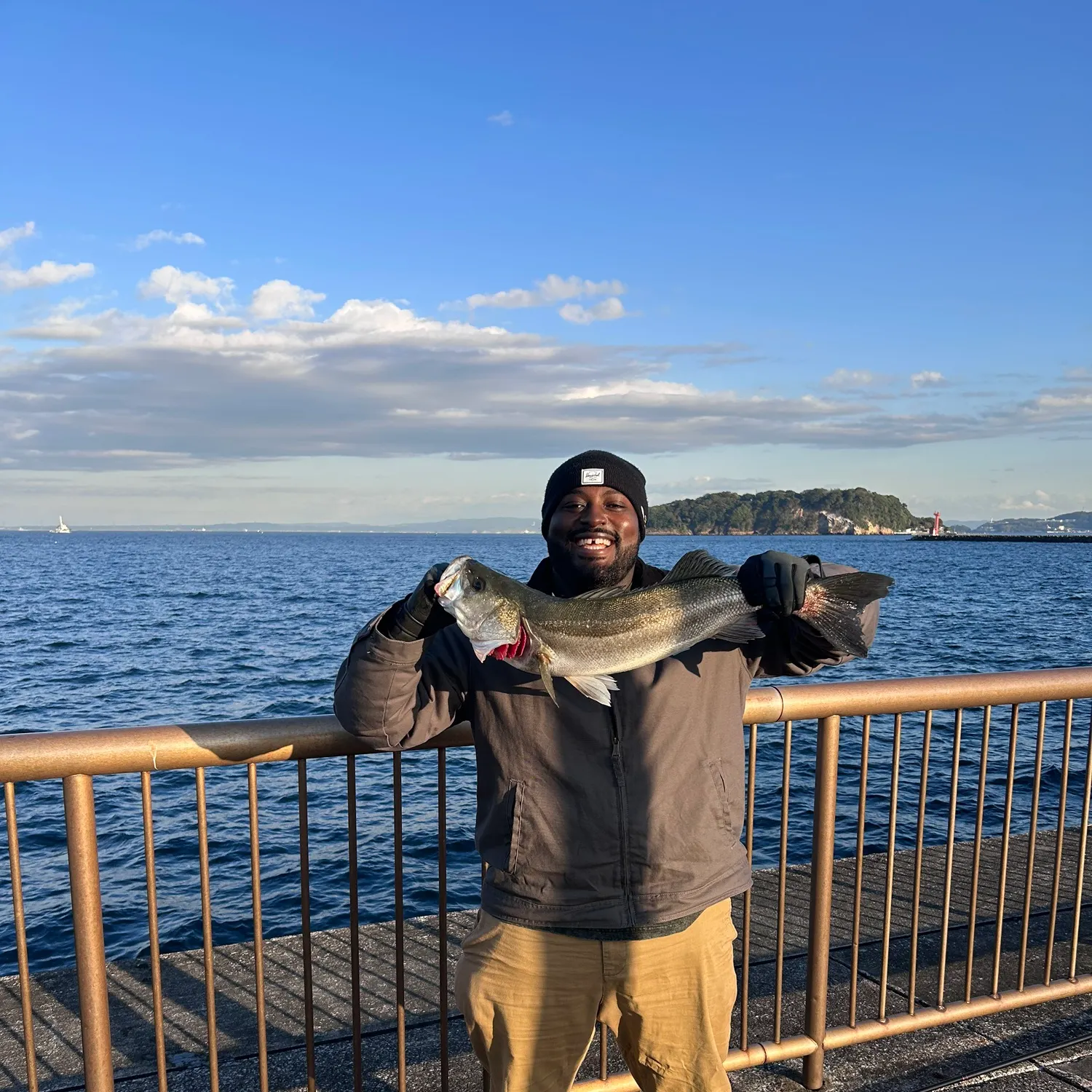 The most recent Blackfin seabass catches on Fishbrain