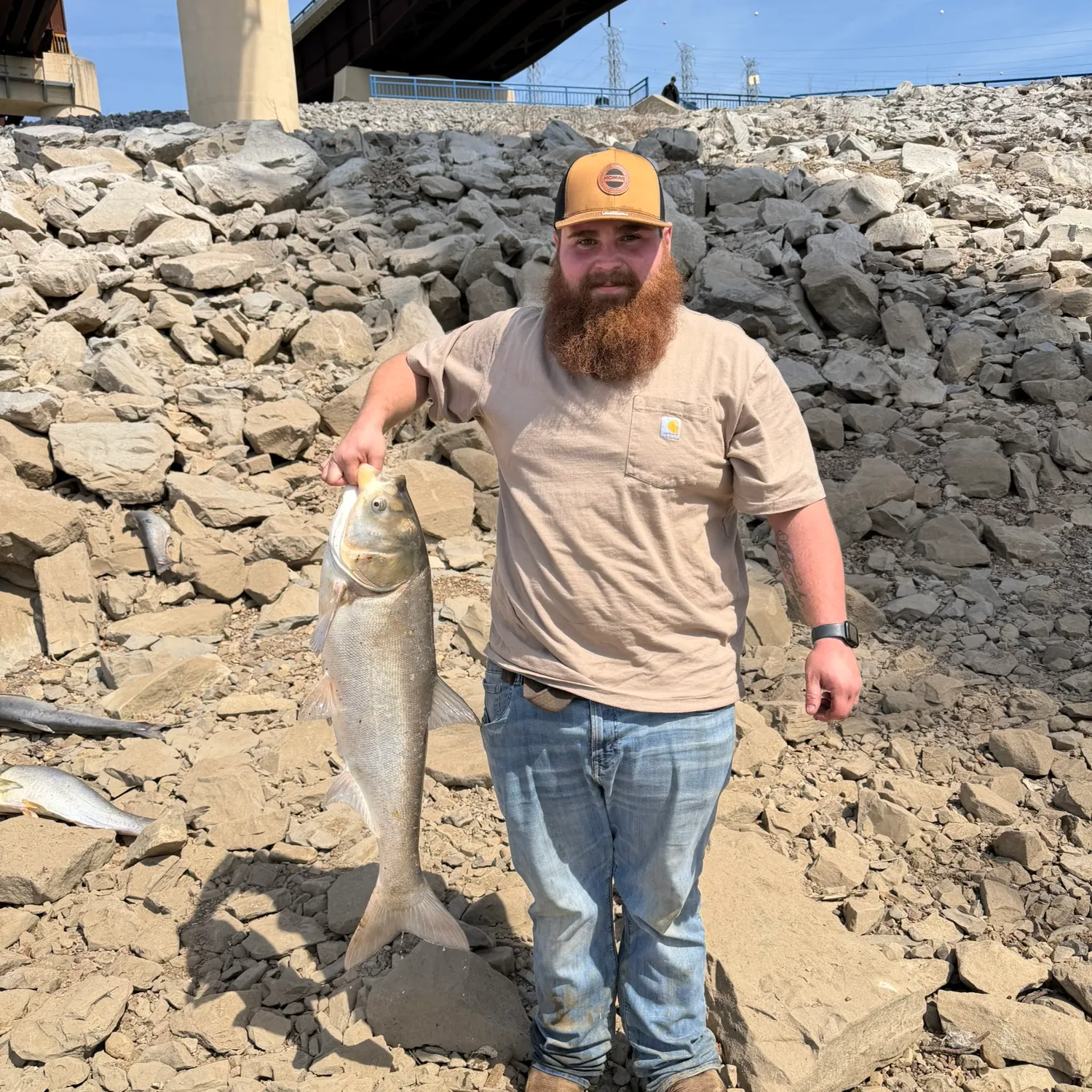 The most recent Silver carp catches on Fishbrain