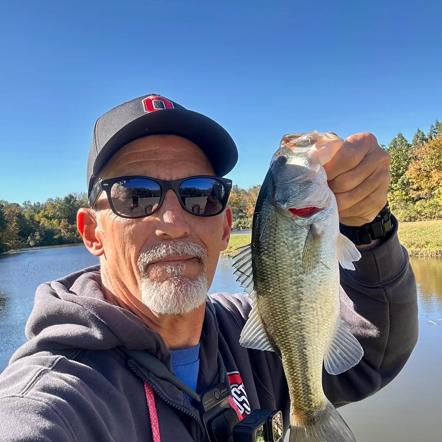 Largemouth bass caught on Fishbrain
