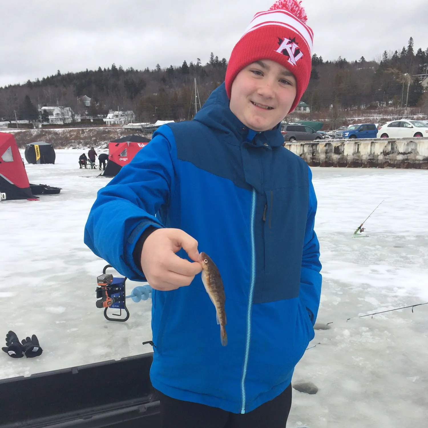 Atlantic tomcod caught on Fishbrain