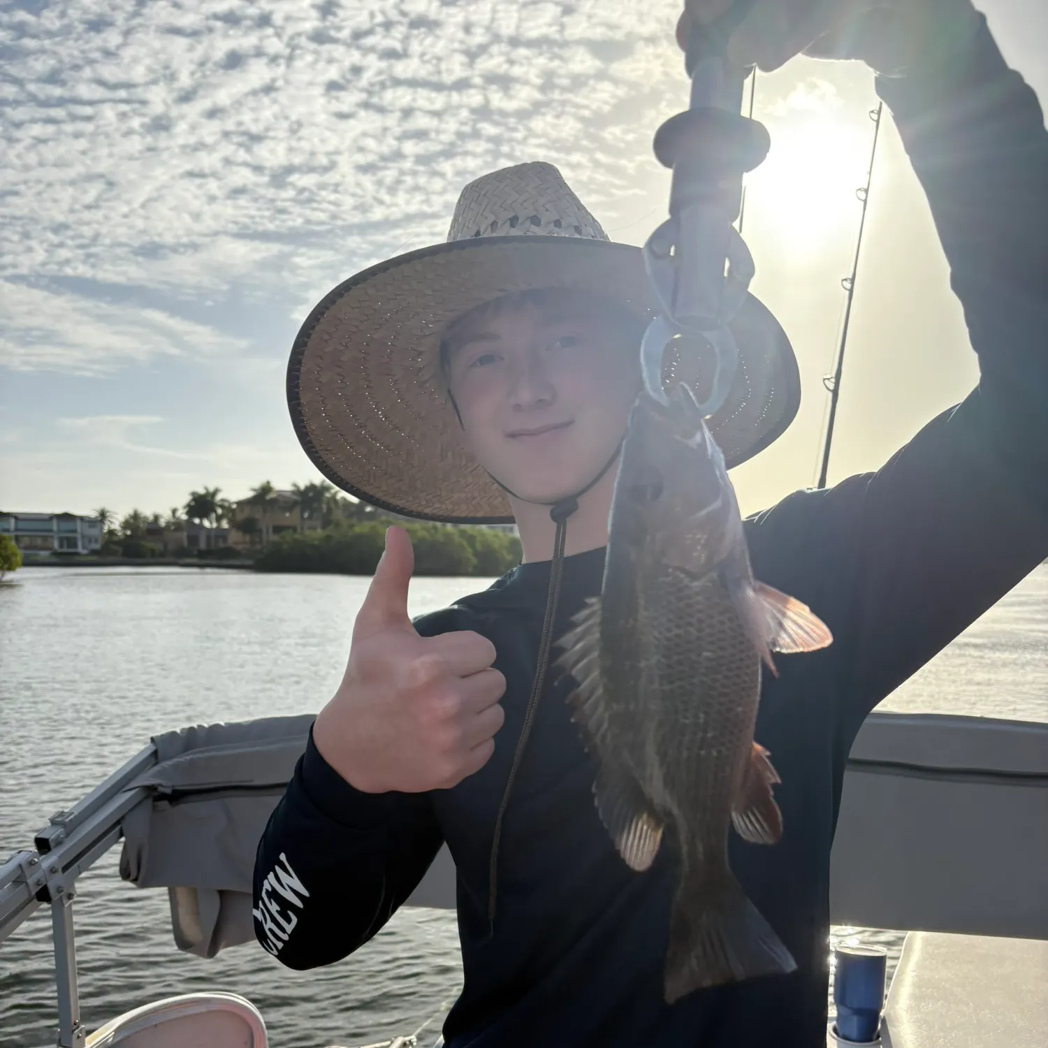 The most recent Mangrove snapper catches on Fishbrain