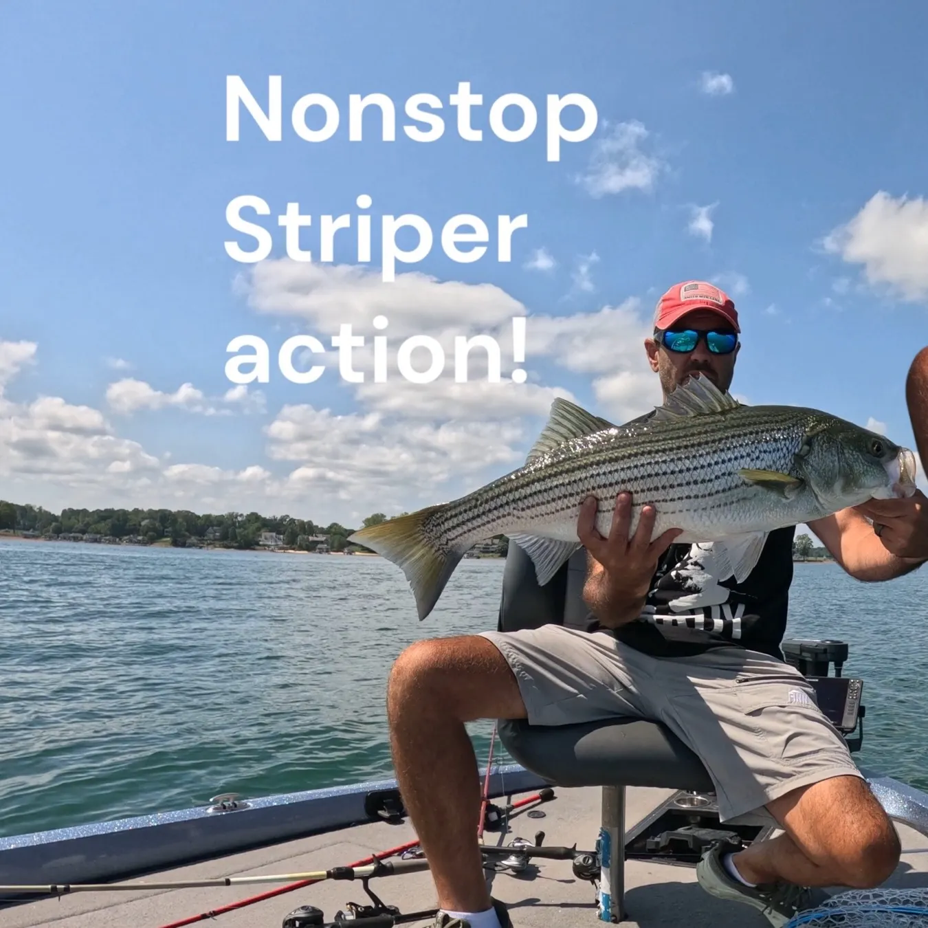 Striped bass caught on Fishbrain