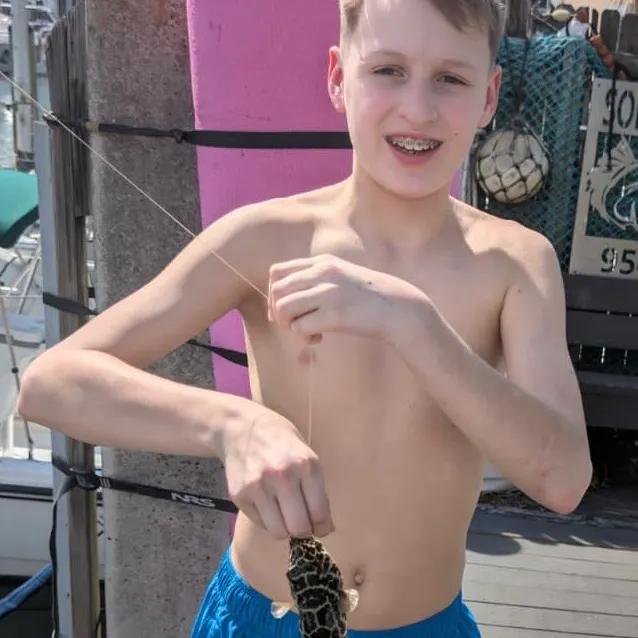 The most recent Panther puffer catches on Fishbrain