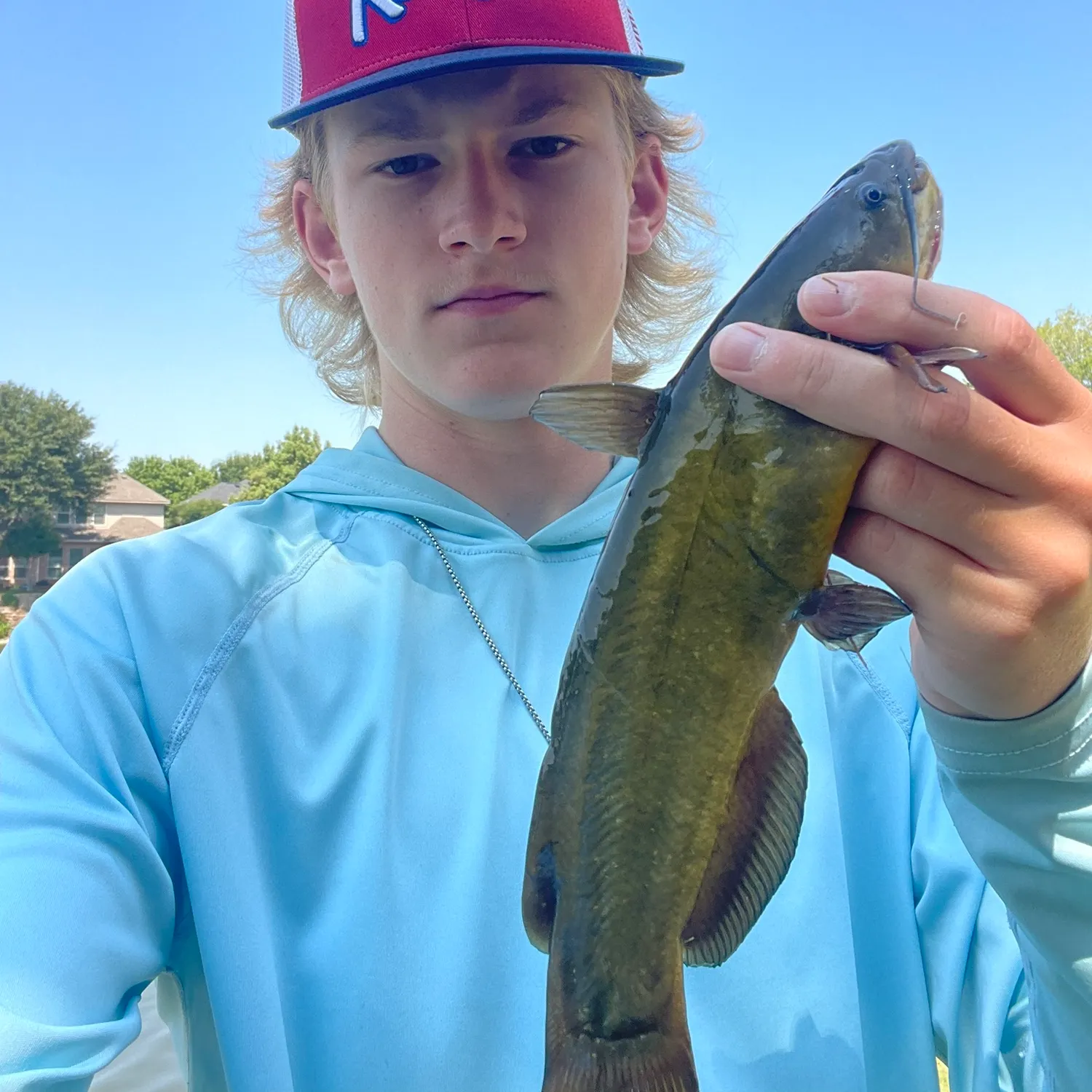 Yellow bullhead caught on Fishbrain