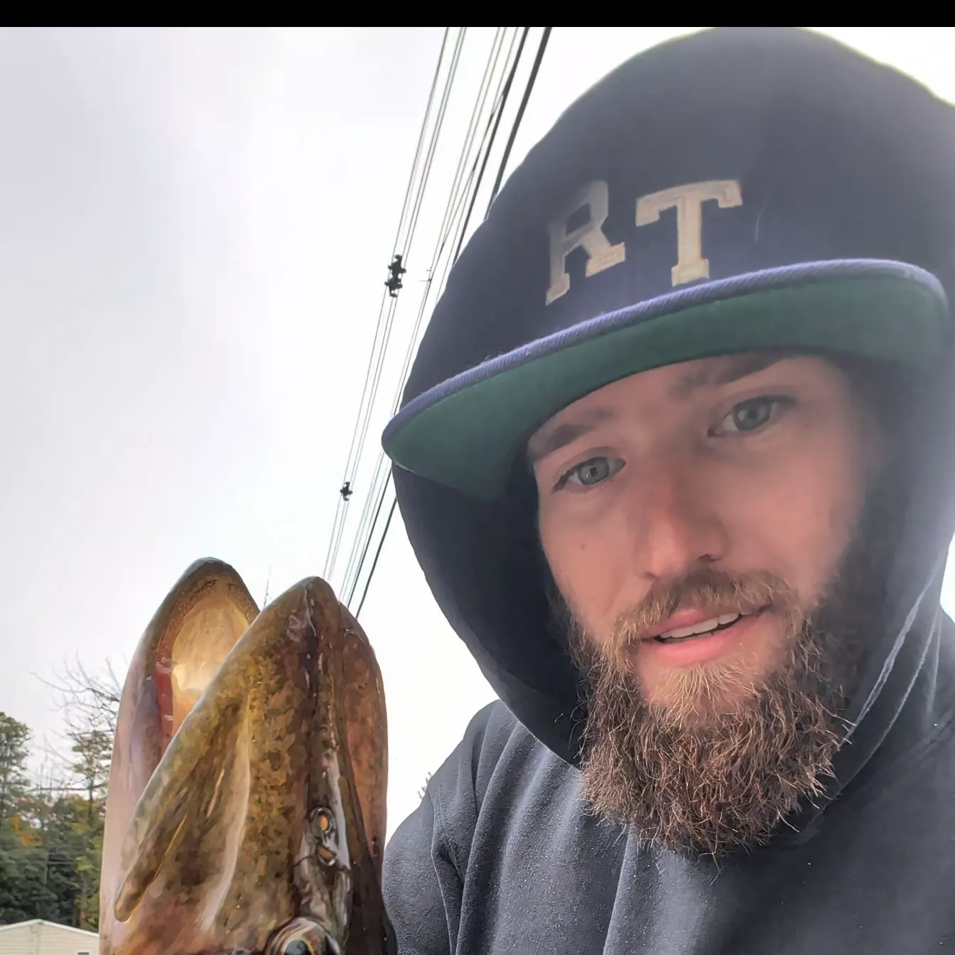 Chain pickerel caught on Fishbrain
