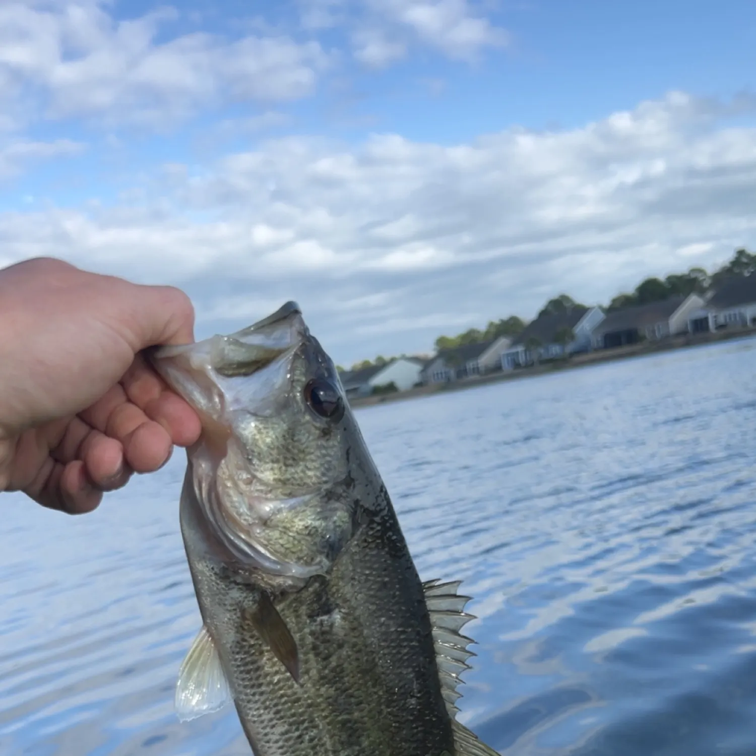 angler catch