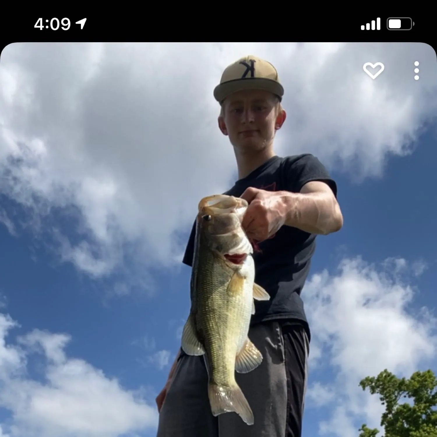 recently logged catches