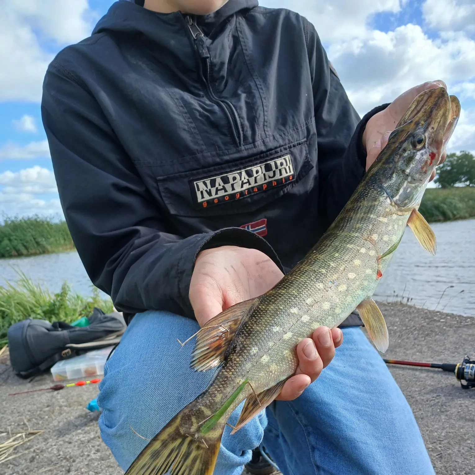 Northern pike caught on Fishbrain