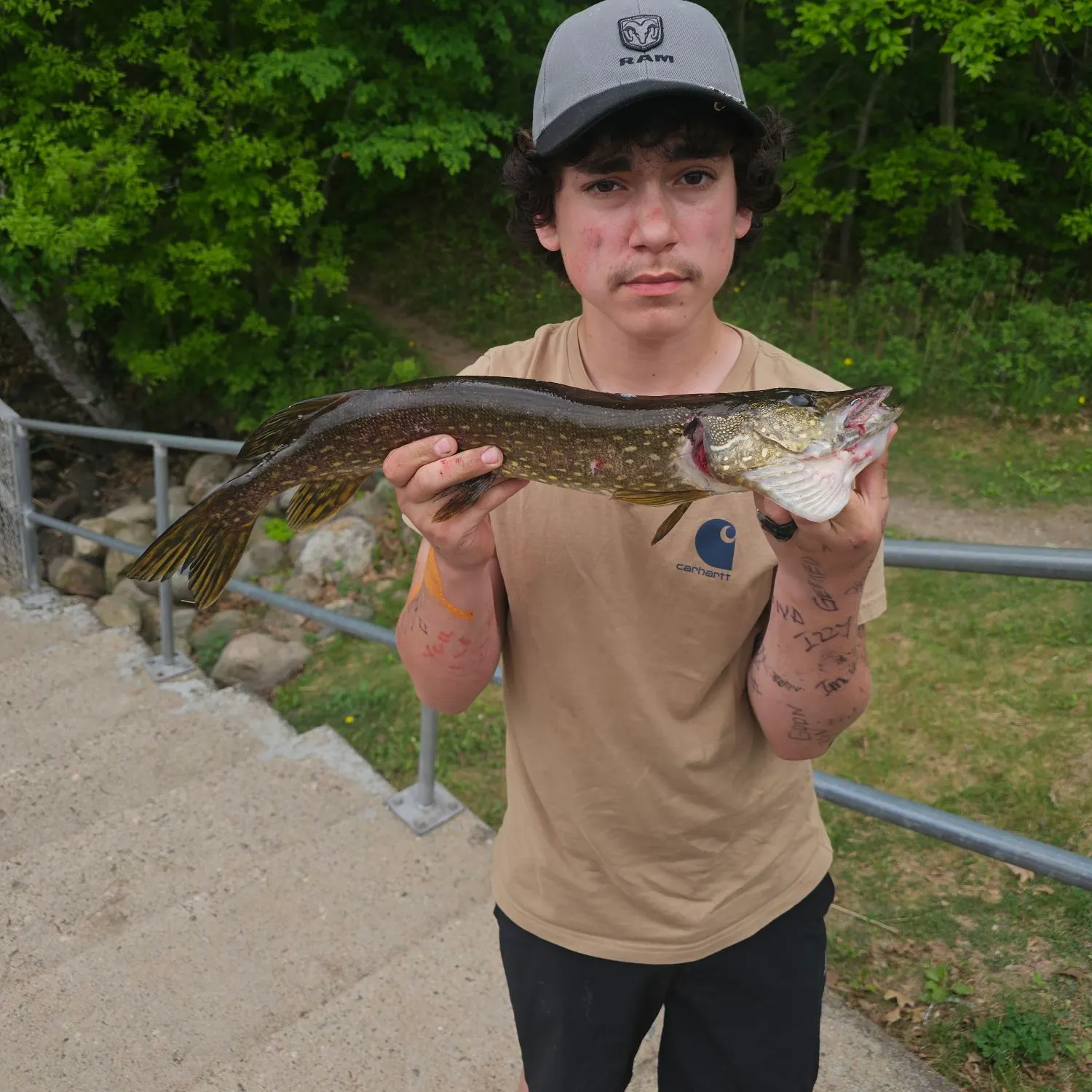 recently logged catches