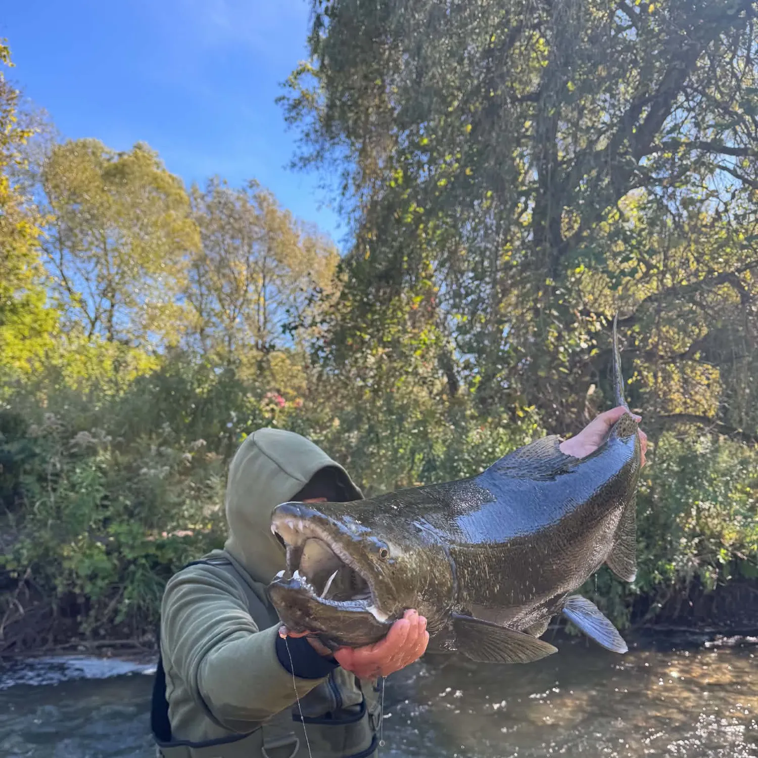 catch