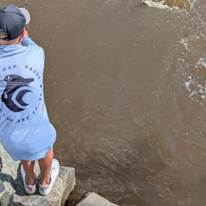 The most recent Hawaiian ladyfish catches on Fishbrain