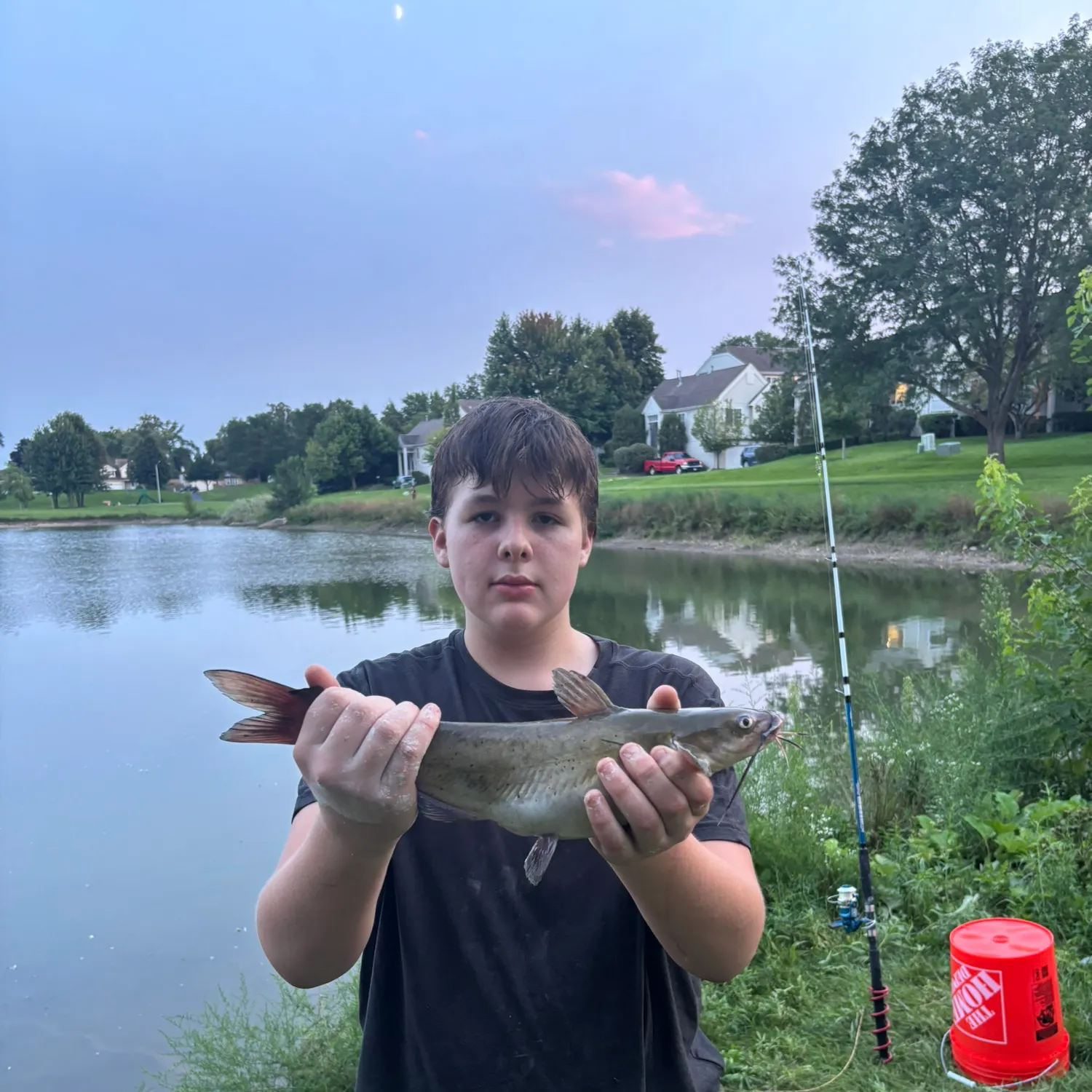 Channel catfish caught on Fishbrain