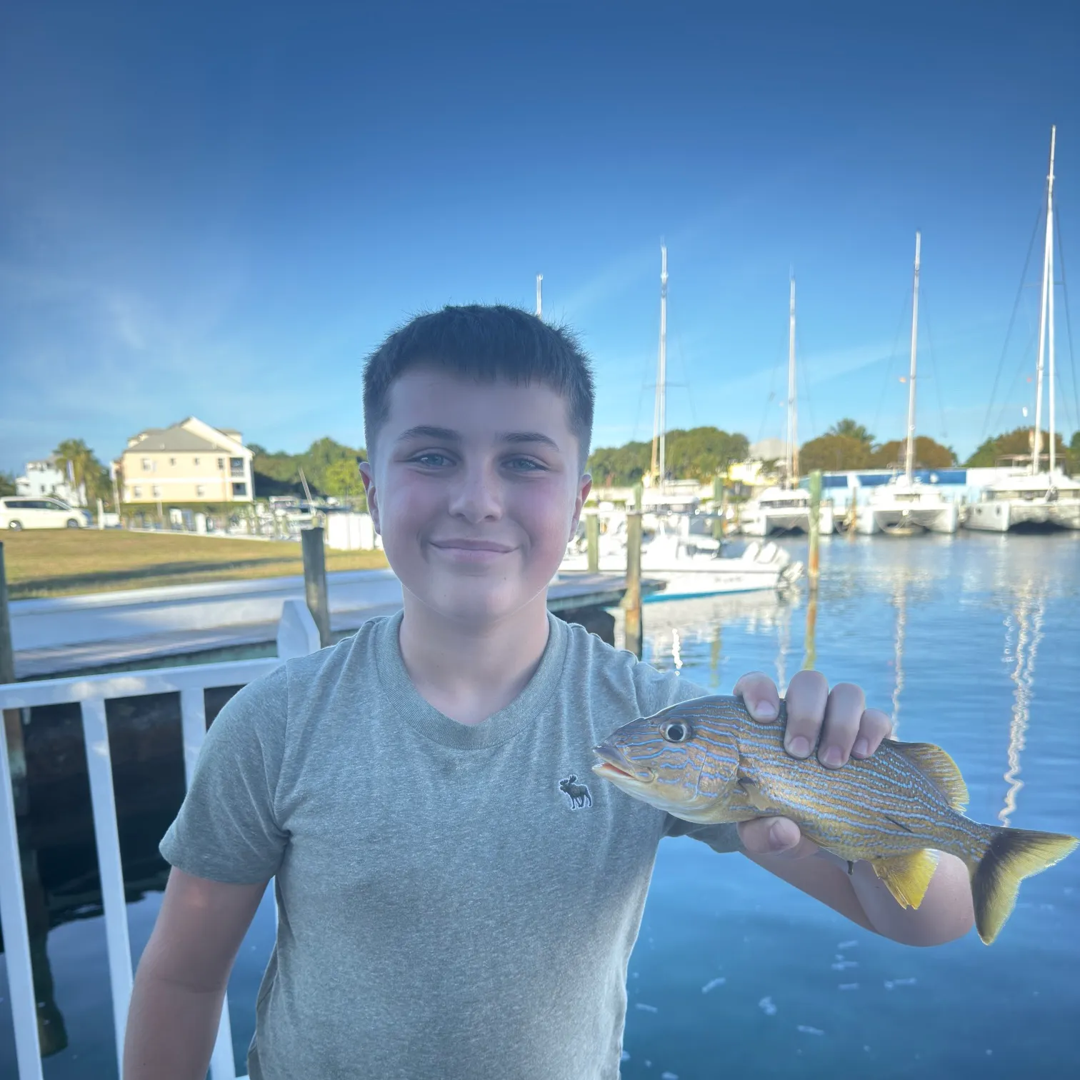 The most recent White grunt catches on Fishbrain