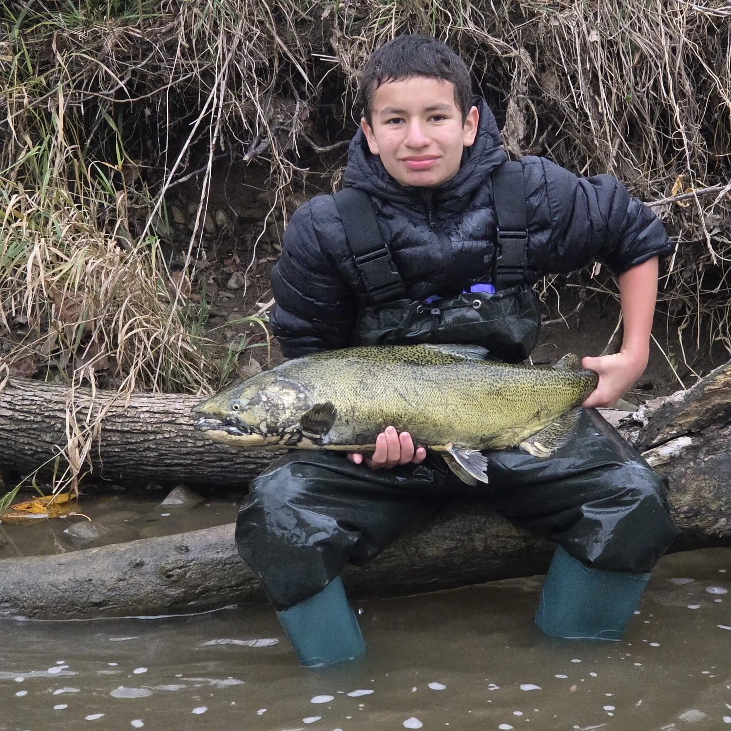 The most recent Chinook salmon catches on Fishbrain
