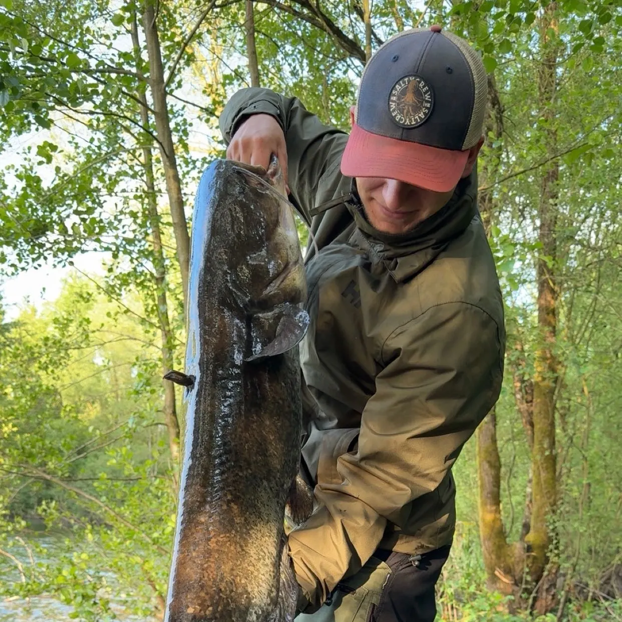 The most recent Wels catfish catches on Fishbrain