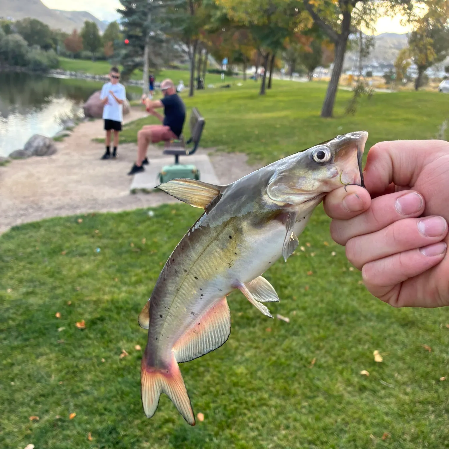 catch