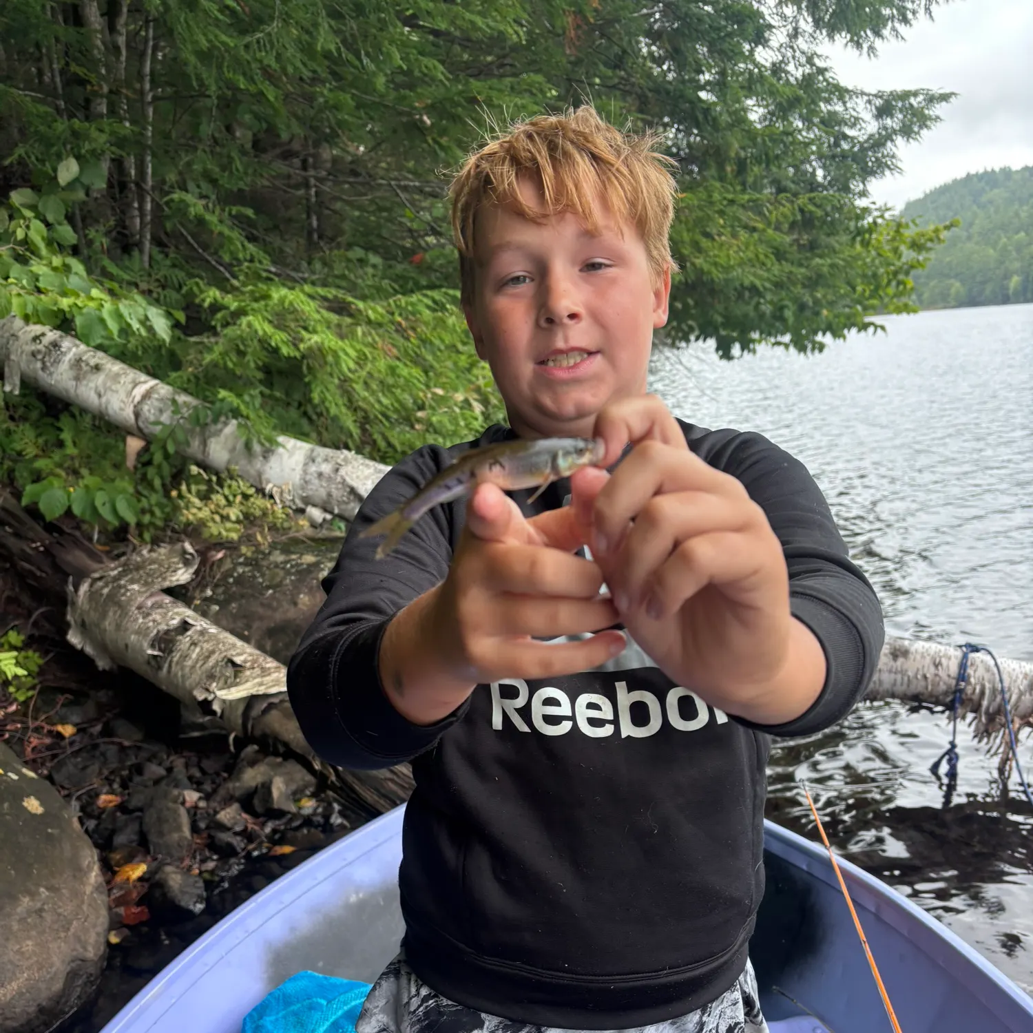 Common shiner caught on Fishbrain
