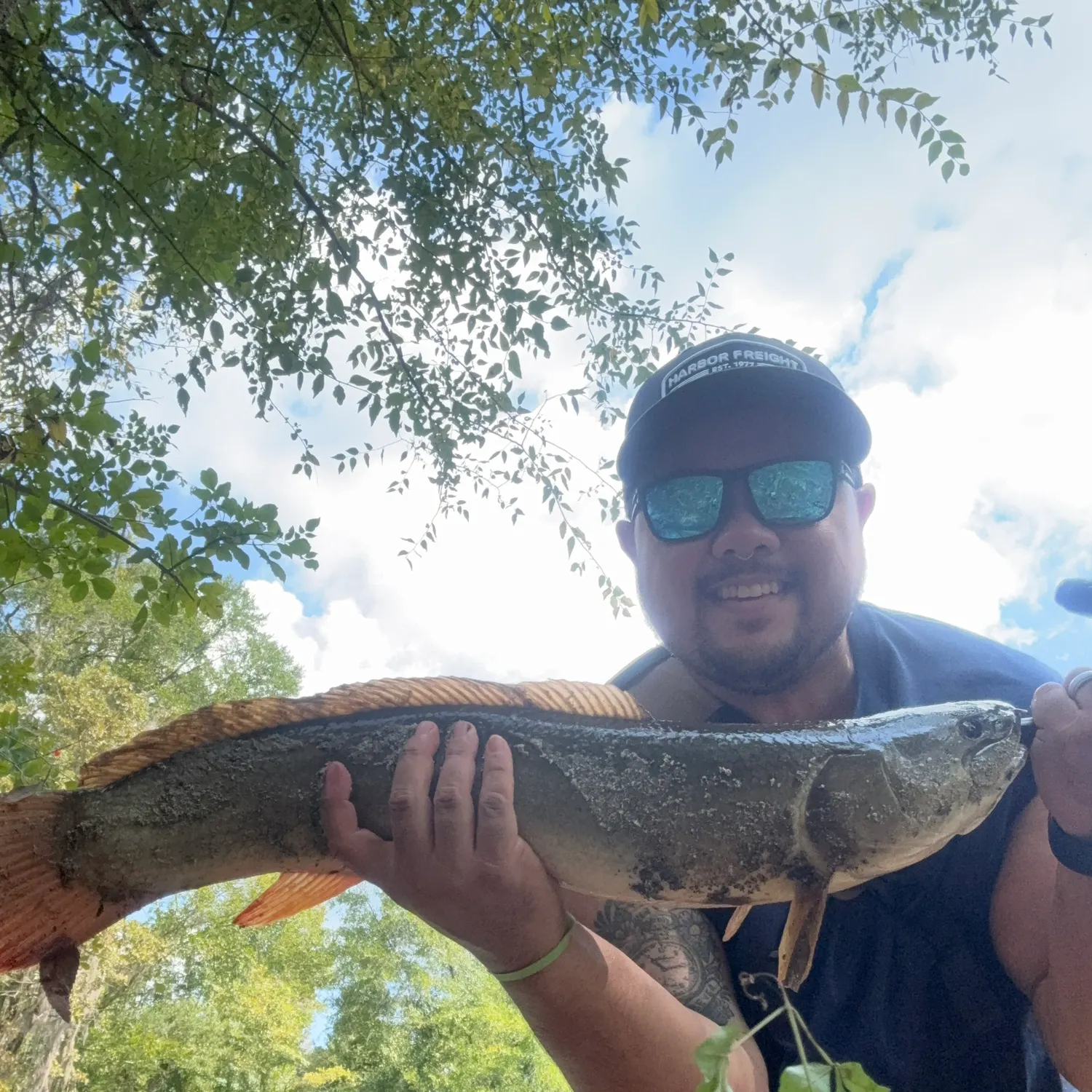 Ruddy bowfin caught on Fishbrain