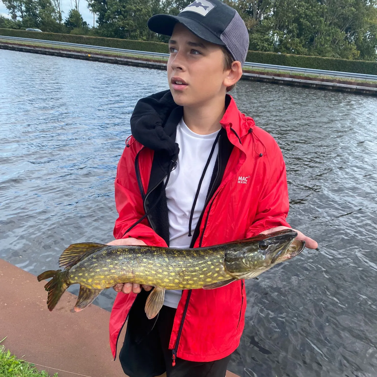 Northern pike caught on Fishbrain