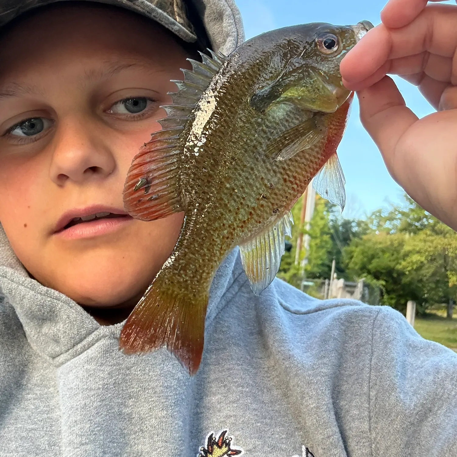 Pumpkingill hybrid caught on Fishbrain