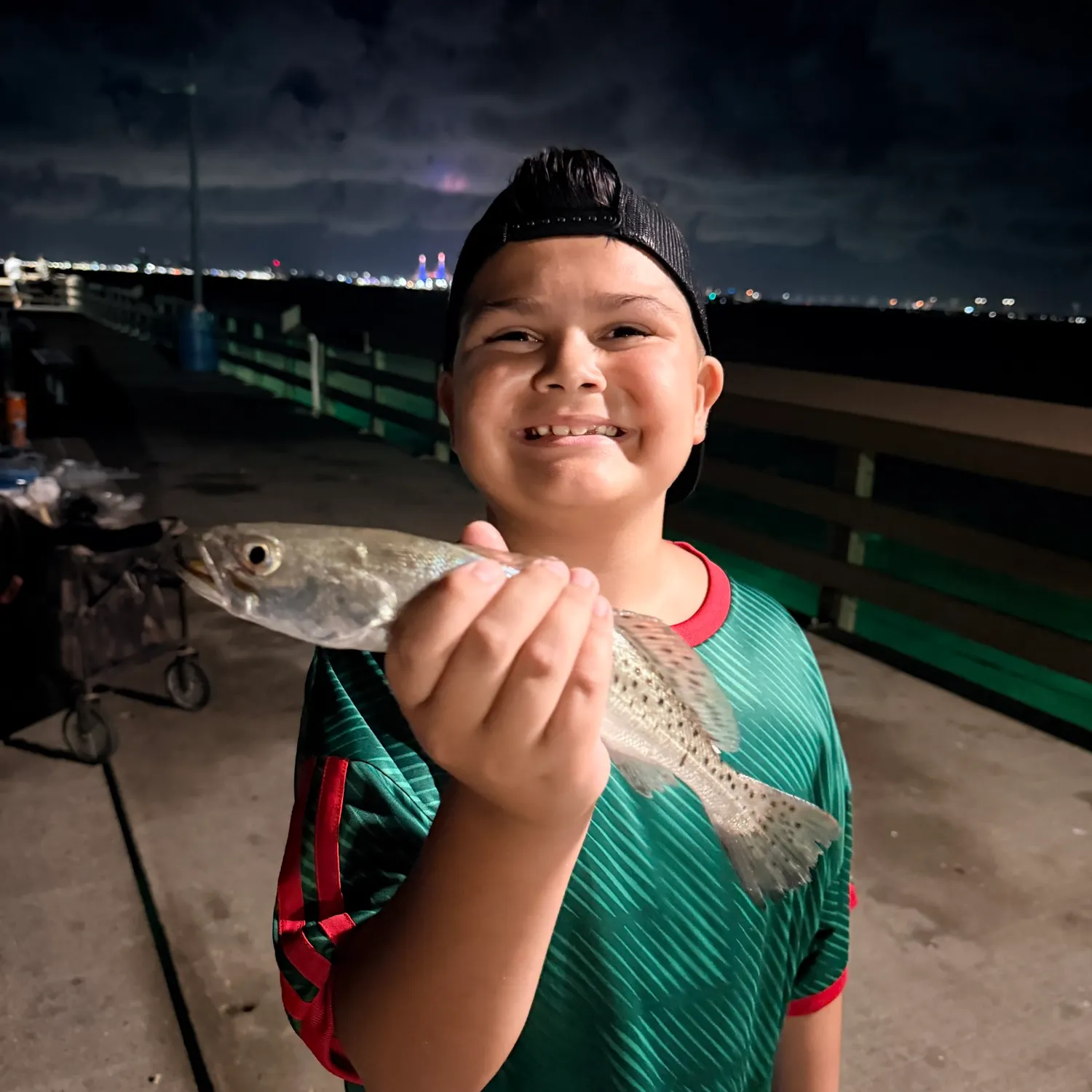The most recent Sea trout catches on Fishbrain