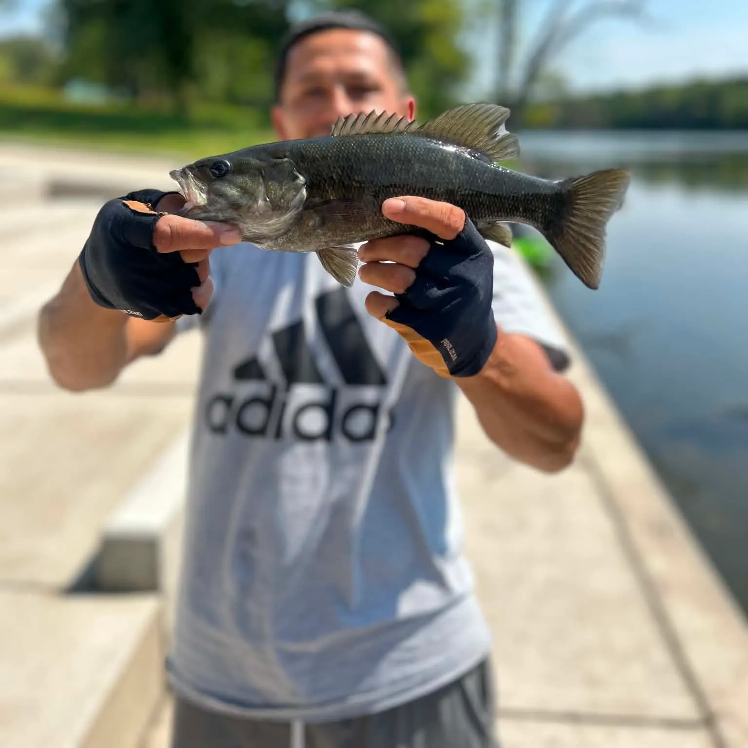Smallmouth bass caught on Fishbrain