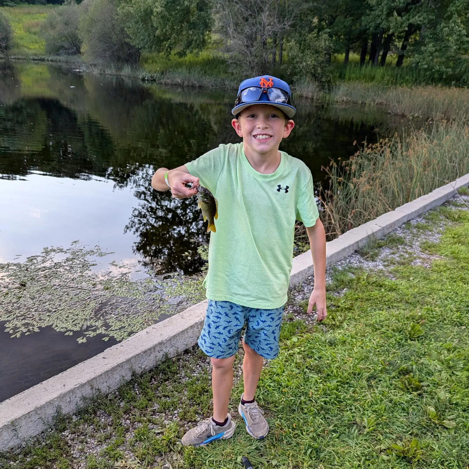 Bluegill caught on Fishbrain