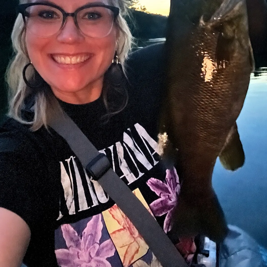 Smallmouth bass caught on Fishbrain
