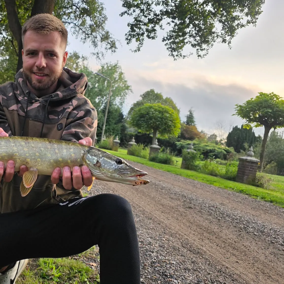 Northern pike caught on Fishbrain