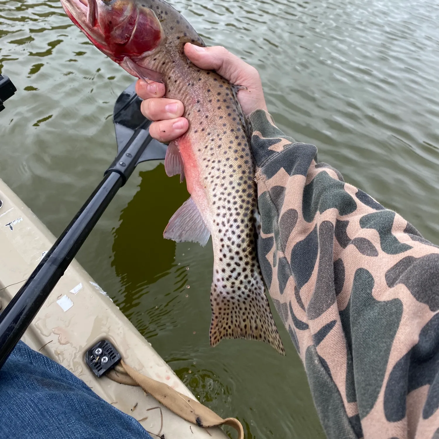 most liked catch image