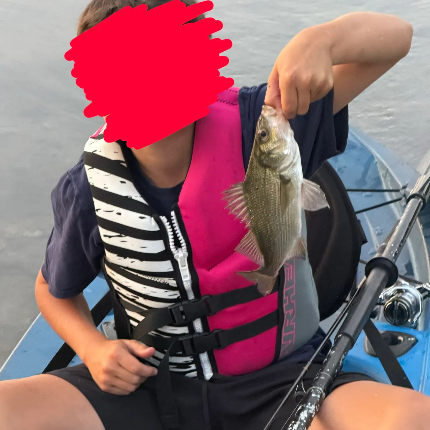 Freshwater drum caught on Fishbrain