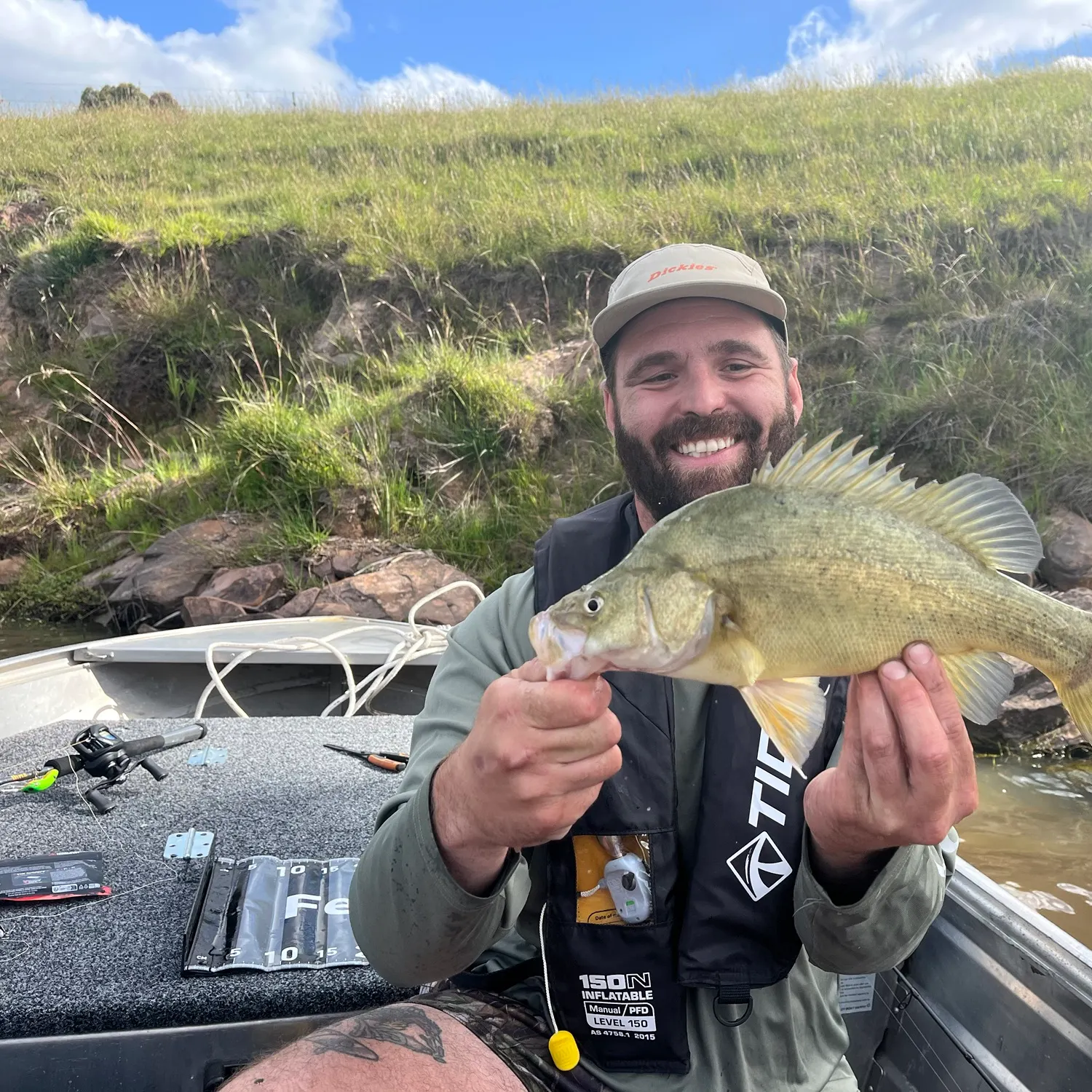 The most recent Golden perch catches on Fishbrain