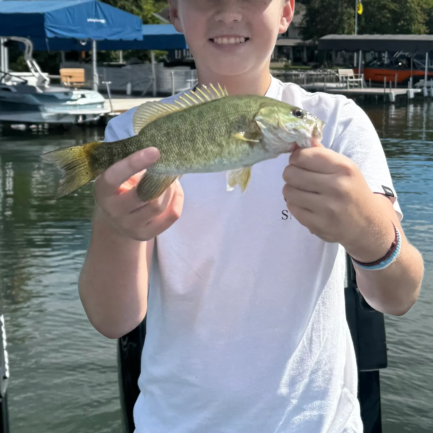 Smallmouth bass caught on Fishbrain