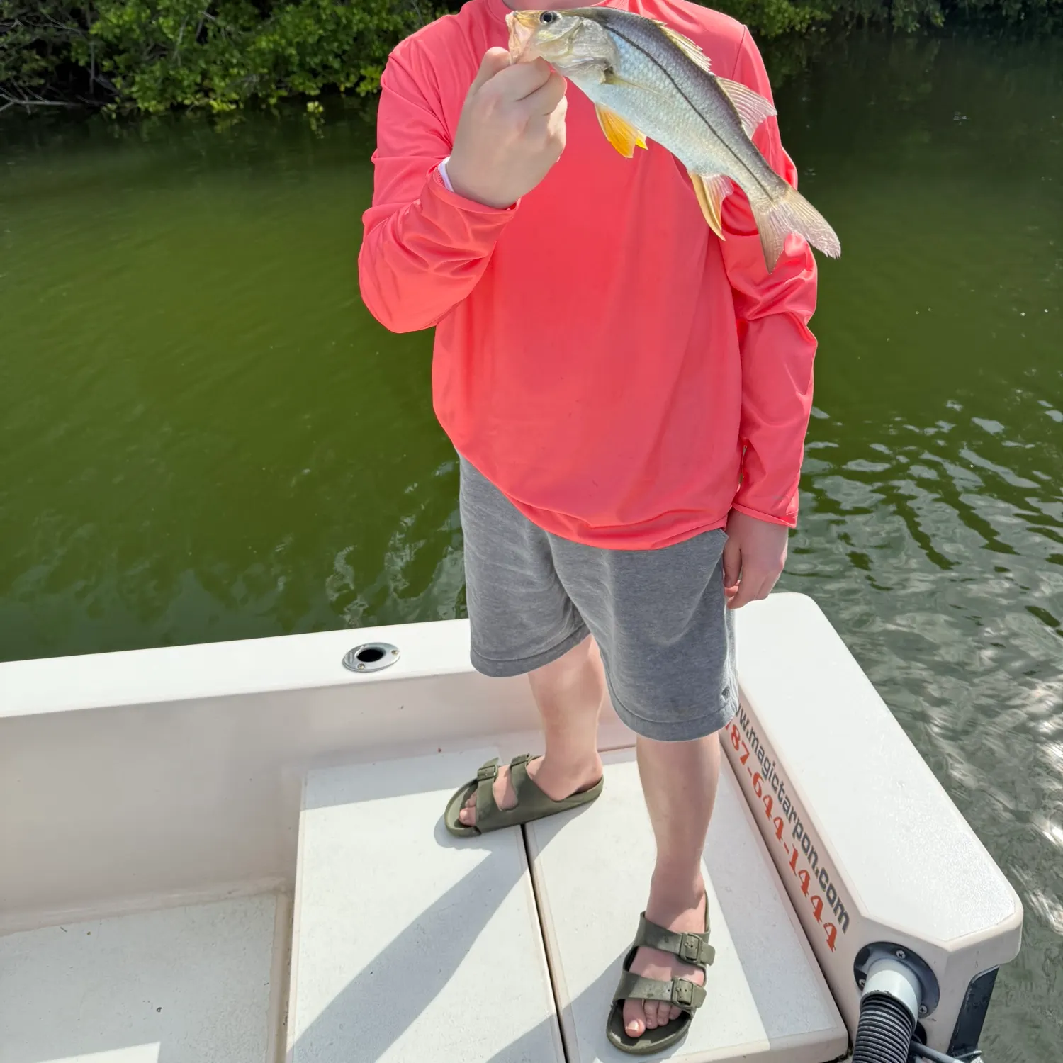 The most recent Fat snook catches on Fishbrain