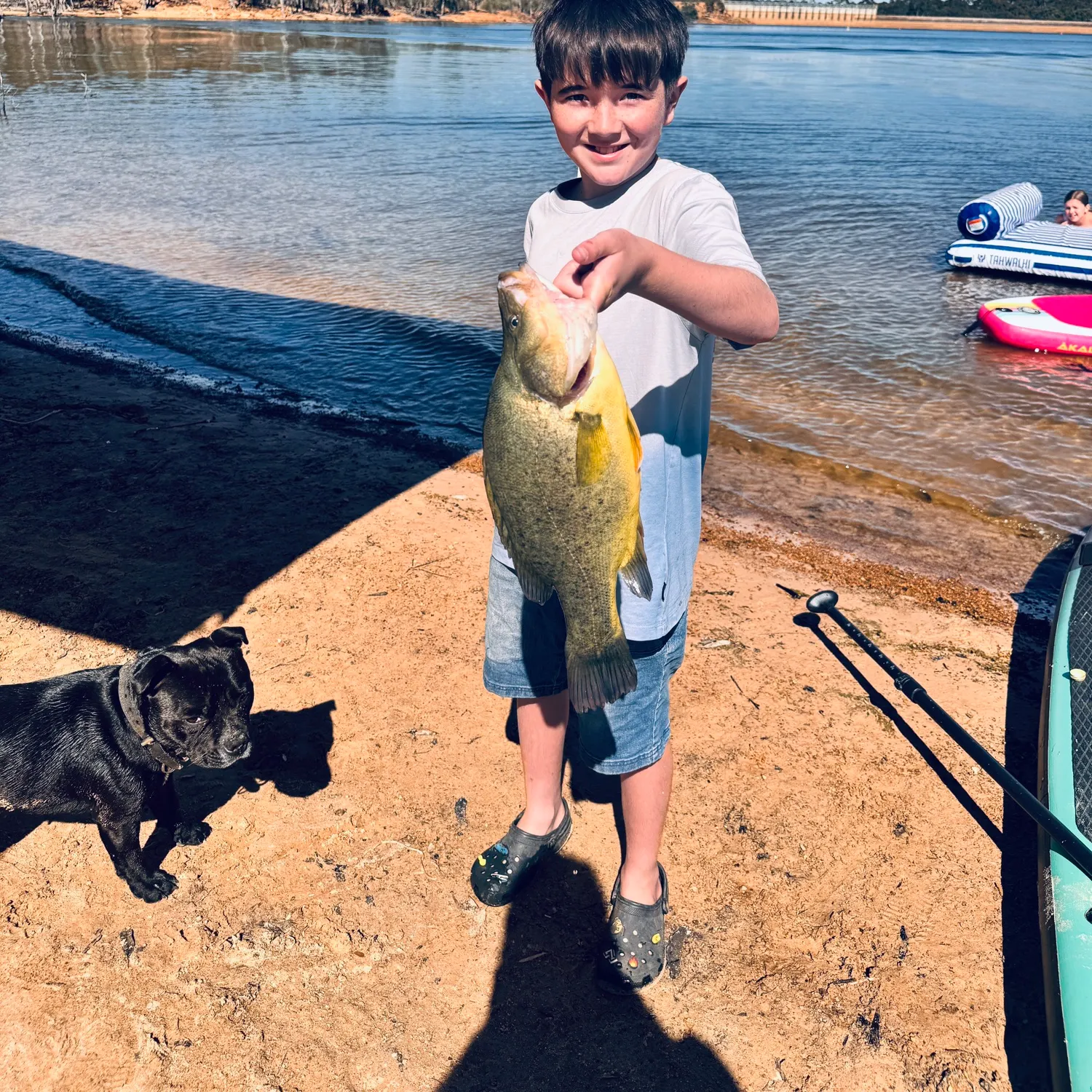 The most recent Golden perch catches on Fishbrain