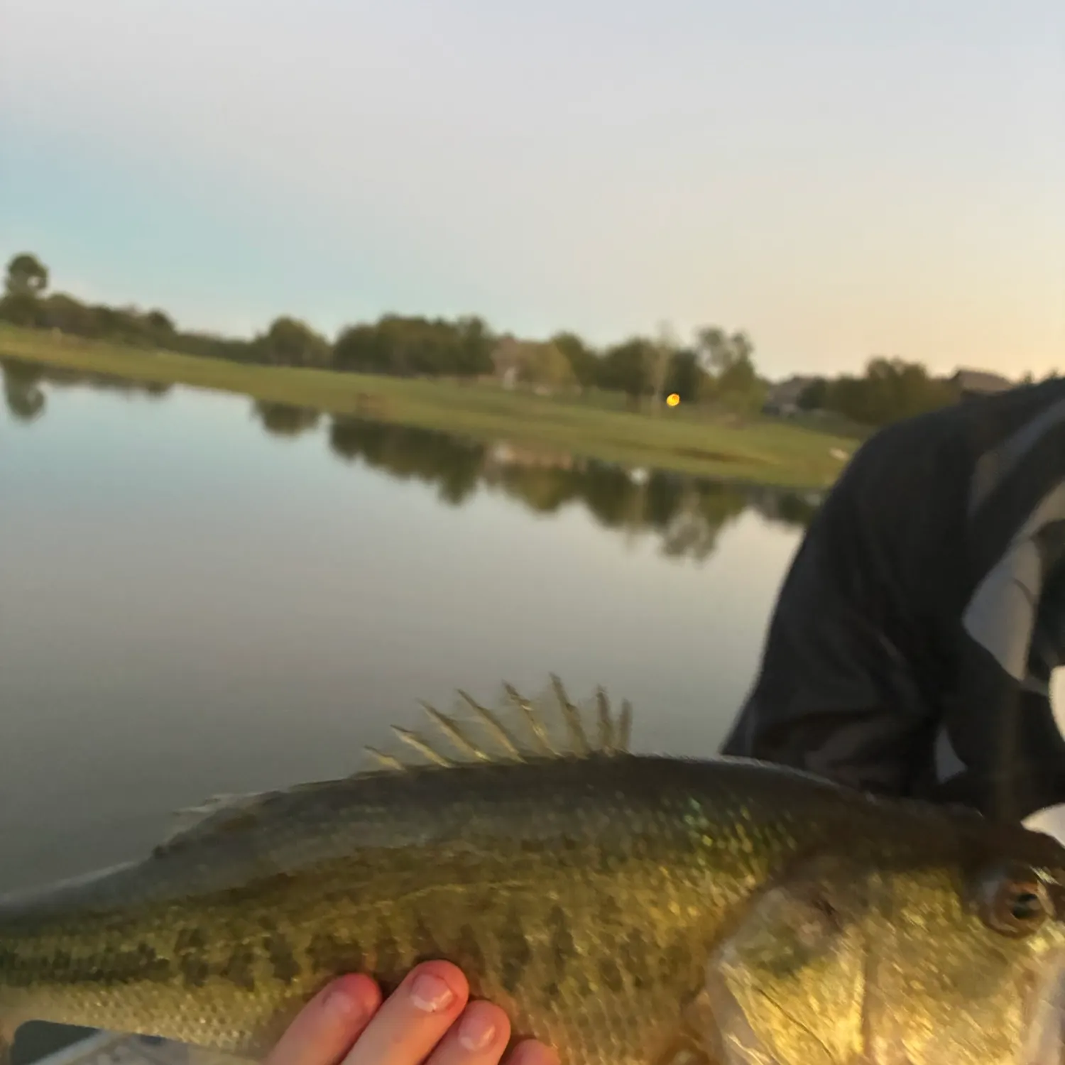 Fish caught on Fishbrain