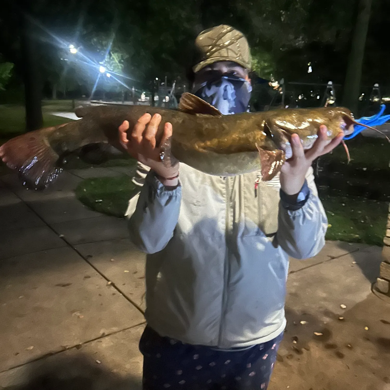 Flathead catfish caught on Fishbrain