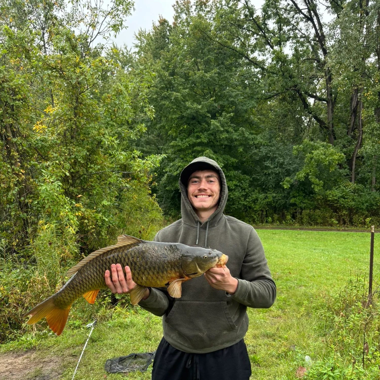 Common carp caught on Fishbrain