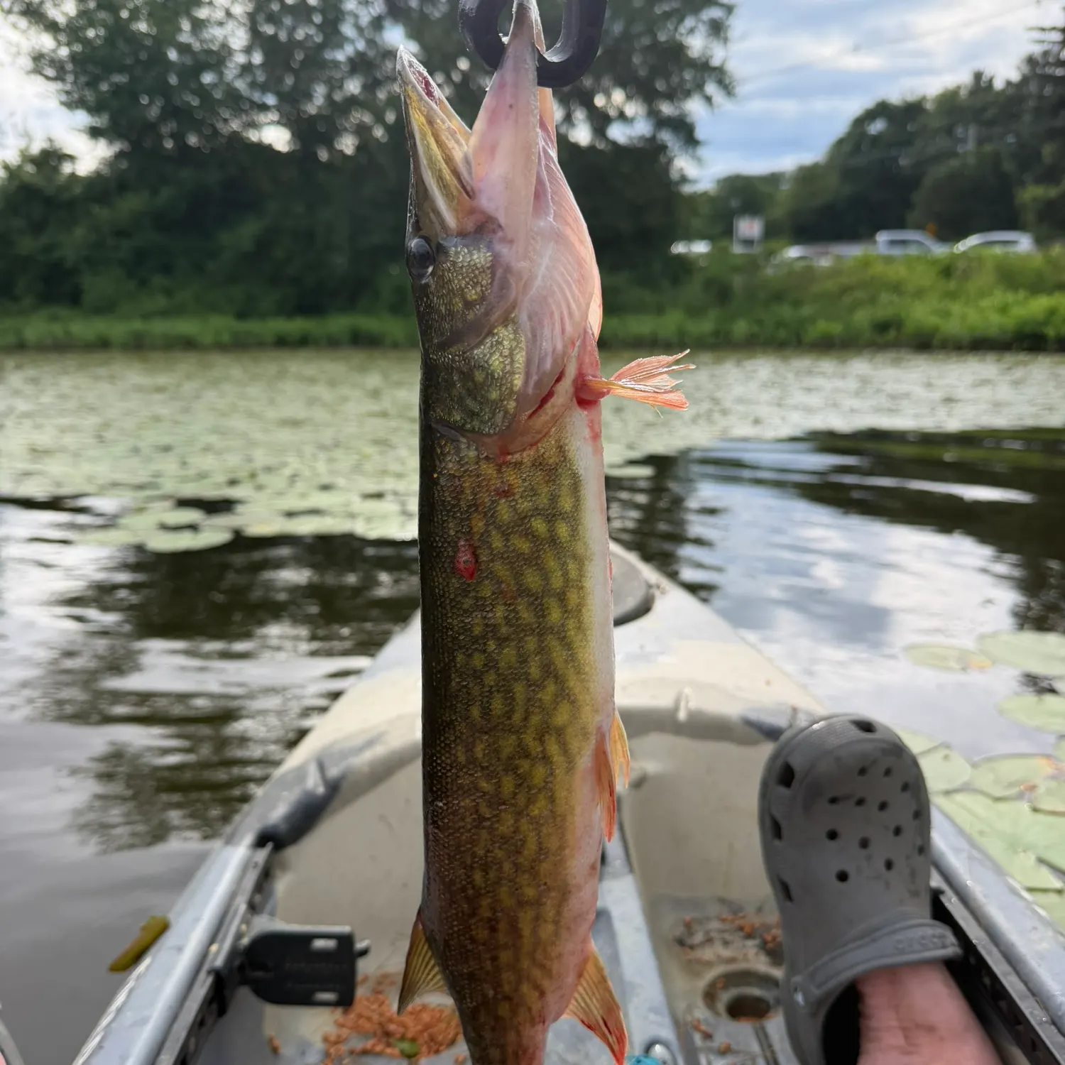 catch